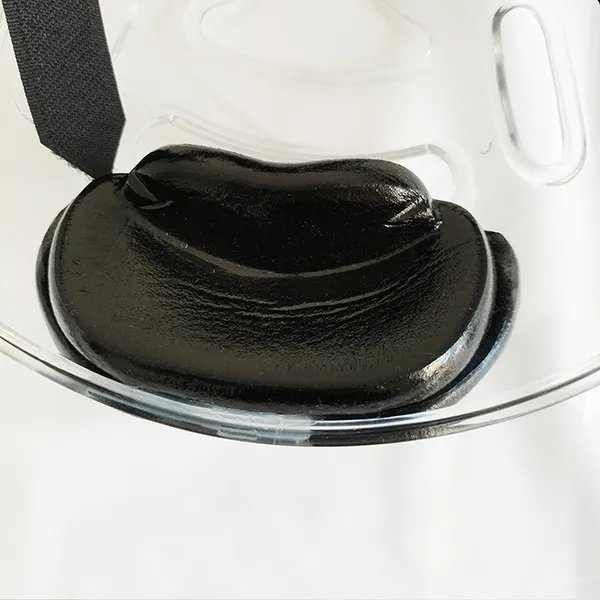 Karate Face Protector